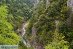 Enipeas gorge near Litochoro and Olympus | Pieria Macedonia | Greece Photo 5 - Photo JustGreece.com