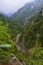 Enipeas gorge near Litochoro and Olympus | Pieria Macedonia | Greece Photo 8 - Photo JustGreece.com