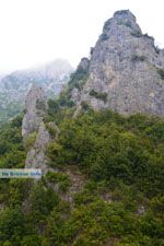 JustGreece.com Enipeas gorge near Litochoro and Olympus | Pieria Macedonia | Greece Photo 9 - Foto van JustGreece.com