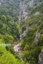 JustGreece.com Enipeas gorge near Litochoro and Olympus | Pieria Macedonia | Greece Photo 10 - Foto van JustGreece.com