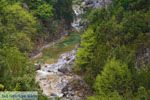 Enipeas gorge near Litochoro and Olympus | Pieria Macedonia | Greece Photo 11 - Photo JustGreece.com