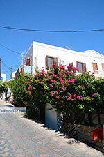 Nimborio Halki - Island of Halki Dodecanese - Photo 105 - Photo JustGreece.com