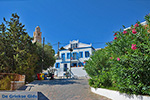 JustGreece.com Nimborio Halki - Island of Halki Dodecanese - Photo 106 - Foto van JustGreece.com