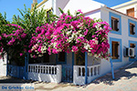 Nimborio Halki - Island of Halki Dodecanese - Photo 128 - Photo JustGreece.com