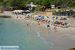 Pontamos Halki - Island of Halki Dodecanese - Photo 158 - Photo JustGreece.com