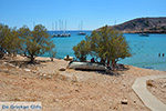 Pontamos Halki - Island of Halki Dodecanese - Photo 188 - Photo JustGreece.com