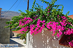 Nimborio Halki - Island of Halki Dodecanese - Photo 198 - Photo JustGreece.com