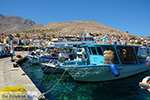 JustGreece.com Nimborio Halki - Island of Halki Dodecanese - Photo 211 - Foto van JustGreece.com
