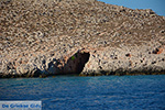 Nimborio Halki - Island of Halki Dodecanese - Photo 336 - Photo JustGreece.com