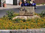 Creta Maris Hersonissos - Heraklion Prefecture - Crete photo 31 - Photo JustGreece.com