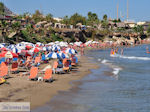 beach Starbeach Chersonissos - Beach near Starbeach Photo 5 - Photo JustGreece.com