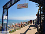 Meltemi Chersonissos (Hersonissos) Photo 2 - Photo JustGreece.com