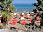 Starbeach Hersonissos - Heraklion Prefecture - Crete photo 76 - Photo JustGreece.com