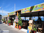 JustGreece.com Hersonissos - Heraklion Prefecture - Crete photo 140 - Foto van JustGreece.com