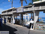 JustGreece.com Hersonissos - Heraklion Prefecture - Crete photo 178 - Foto van JustGreece.com