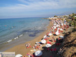 beach Starbeach Chersonissos - Beach Starbeach Hersonissos - Photo JustGreece.com
