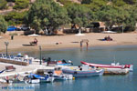 Alopronia, The harbour of Sikinos | Greece | Greece  - Photo 28 - Photo JustGreece.com