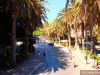 JustGreece.com Kos town Dodecanese - Greece - Foto van JustGreece.com