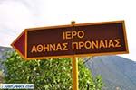 Delphi (Delfi) | Fokida | Central Greece  Photo 14 - Photo JustGreece.com