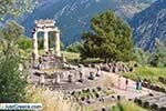 Delphi (Delfi) | Fokida | Central Greece  Photo 16 - Photo JustGreece.com