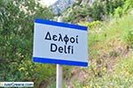 JustGreece.com Delphi (Delfi) | Fokida | Central Greece  Photo 26 - Foto van JustGreece.com