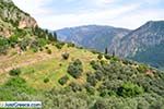 Delphi (Delfi) | Fokida | Central Greece  Photo 27 - Photo JustGreece.com