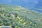 JustGreece.com Delphi (Delfi) | Fokida | Central Greece  Photo 29 - Foto van JustGreece.com