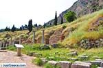 Delphi (Delfi) | Fokida | Central Greece  Photo 31 - Photo JustGreece.com