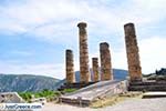 Delphi (Delfi) | Fokida | Central Greece  Photo 53 - Photo JustGreece.com