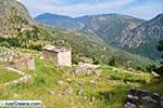 JustGreece.com Delphi (Delfi) | Fokida | Central Greece  Photo 61 - Foto van JustGreece.com