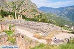 Delphi (Delfi) | Fokida | Central Greece  Photo 64 - Photo JustGreece.com