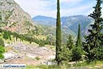 Delphi (Delfi) | Fokida | Central Greece  Photo 68 - Photo JustGreece.com