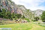 Delphi (Delfi) | Fokida | Central Greece  Photo 74 - Photo JustGreece.com