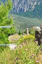 Delphi (Delfi) | Fokida | Central Greece  Photo 84 - Photo JustGreece.com