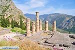 Delphi (Delfi) | Fokida | Central Greece  Photo 96 - Photo JustGreece.com