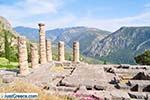 Delphi (Delfi) | Fokida | Central Greece  Photo 97 - Photo JustGreece.com