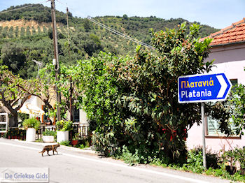 JustGreece.com Leuk small village Patelari near Platanias and Stalos (Platanias Chania Crete - Stalos Chania Crete) Photo 4  | Chania | Crete - Foto van JustGreece.com