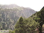Imbros Village and gorge | Chania Crete | Chania Prefecture 6 - Photo JustGreece.com