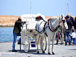 JustGreece.com Chania city Crete - Chania Prefecture - Crete - Foto van JustGreece.com