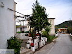 JustGreece.com Traditional Village Deliana | Chania Crete | Chania Prefecture 5 - Foto van JustGreece.com