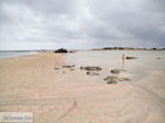 JustGreece.com Sandy beach Elafonisi (Elafonissi) | Chania Crete | Chania Prefecture 1 - Foto van JustGreece.com
