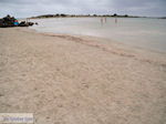 JustGreece.com Sandy beach Elafonisi (Elafonissi) | Chania Crete | Chania Prefecture 6 - Foto van JustGreece.com