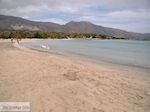 JustGreece.com Sandy beach Elafonisi (Elafonissi) | Chania Crete | Chania Prefecture 10 - Foto van JustGreece.com