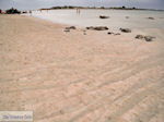 JustGreece.com Sandy beach Elafonisi (Elafonissi) | Chania Crete | Chania Prefecture 12 - Foto van JustGreece.com