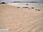 Sandy beach Elafonisi (Elafonissi) | Chania Crete | Chania Prefecture 12 - Foto van JustGreece.com