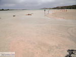 JustGreece.com Sandy beach Elafonisi (Elafonissi) | Chania Crete | Chania Prefecture 16 - Foto van JustGreece.com