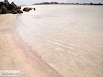 Sandy beach Elafonisi (Elafonissi) | Chania Crete | Chania Prefecture 31 - Foto van JustGreece.com