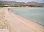 JustGreece.com Sandy beach Elafonisi (Elafonissi) | Chania Crete | Chania Prefecture 33 - Foto van JustGreece.com