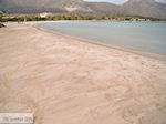 JustGreece.com Sandy beach Elafonisi (Elafonissi) | Chania Crete | Chania Prefecture 35 - Foto van JustGreece.com