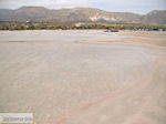 Sandy beach Elafonisi (Elafonissi) | Chania Crete | Chania Prefecture 37 - Photo JustGreece.com